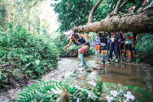 BIB: 
                            <button type="button" onclick="openModal(25471945)" class="btn btn-primary btn-sm float-right btn-popup" data-toggle="modal" data-target=".modal-high-quality">
                        <i class="fas fa-shopping-cart"></i> Add to Cart
                    </button>
                                            <button type="button" onclick="isThisMe(25471945, true)" class="btn btn-success btn-sm float-right btn-popup btn-isme hidden" data-toggle="tooltip" data-placement="bottom" title="นี่คือรูปของคุณใช่ไหม คลิกที่นี่เพื่อเอาเข้าอัลบั้ม">
                        <i class="fas fa-plus"></i> Add to album
                    </button>
                    <button type="button" onclick="isThisMe(25471945, false)" class="btn btn-warning btn-sm float-right btn-popup btn-isnotme hidden">
                        <i class="fas fa-ban"></i> Remove from album
                    </button>